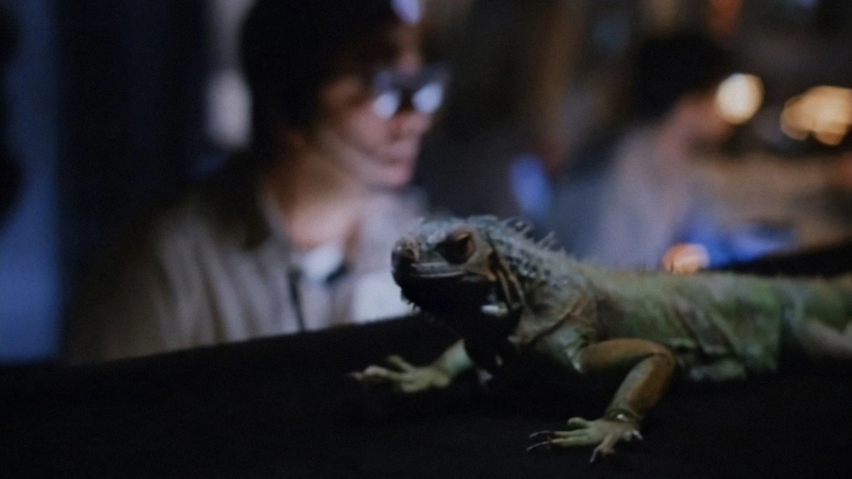 Khủng long ăn thịt 2 (Carnosaur 2)